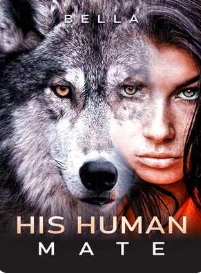 Amelia's Destiny: Heart of the Pack