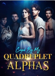 Entwined Fates: The Quad Alphas' Revenge