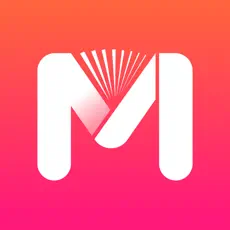 NovelMaster - for novel