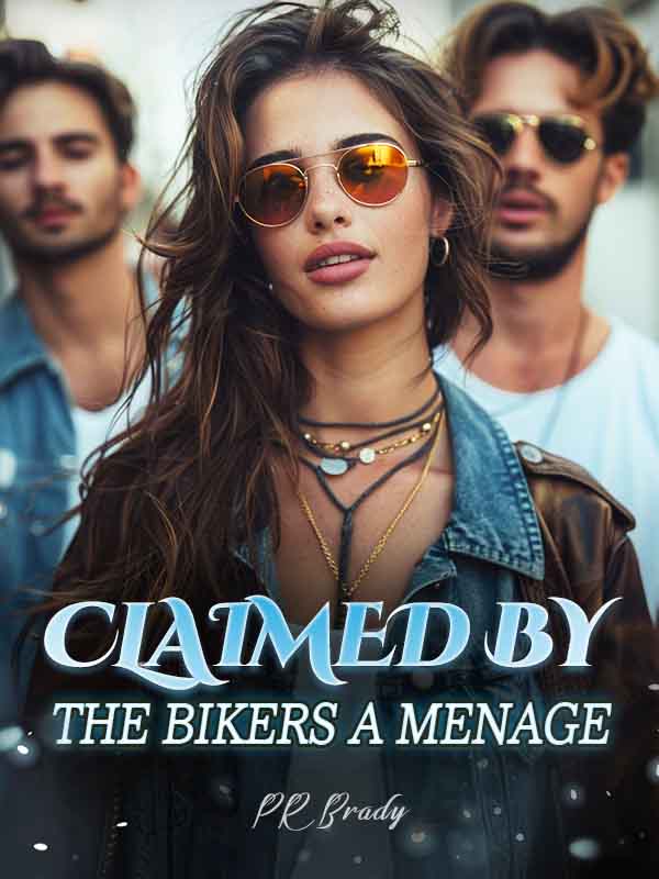 Raine's Journey: Ambition and Heartache in the Biker Bar World