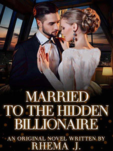 married to the hidden billionaire novel Preview