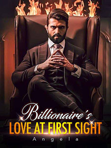 billionaire love at first sight novel vivian and finnick