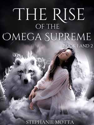 Lina and Nicollas: A Fantasy Love Story in the Werewolf World