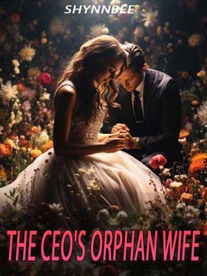 the ceo's orphan wife free read Chapter 6