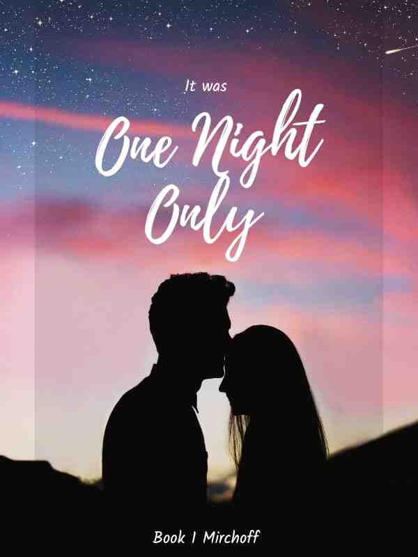 It was One Night Only Rachael and Noah novel Read online